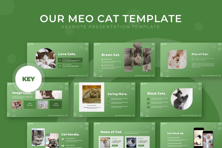 Our Meow Cat - Keynote Template