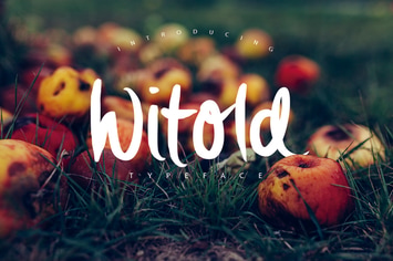 Witold Script Typeface