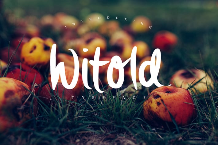 Witold Script Typeface