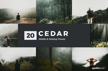 20 Cedar Lightroom Presets and LUTs