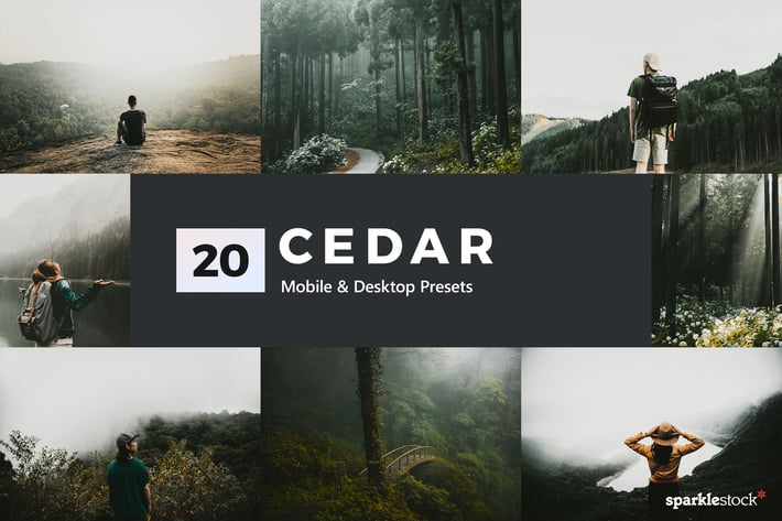20 Cedar Lightroom Presets and LUTs