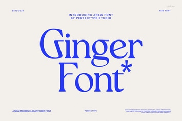 Ginger Vintage Serif Font