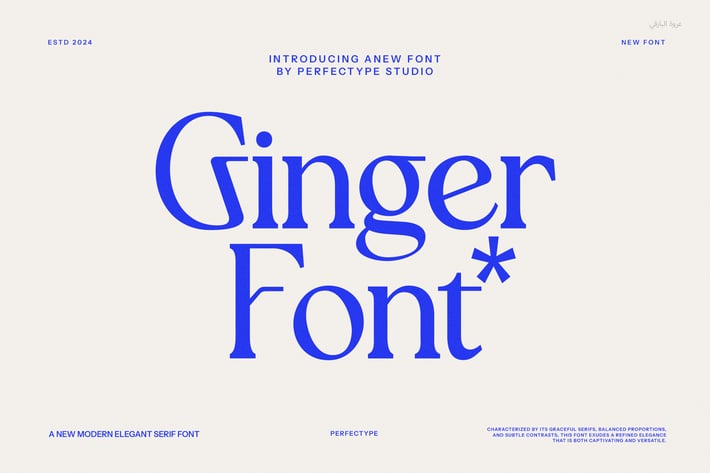 Ginger Vintage Serif Font
