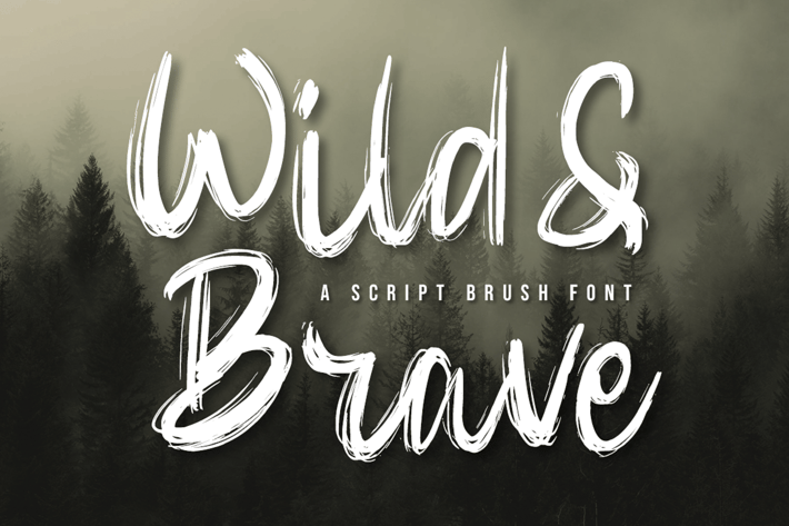 Script Brush Font
