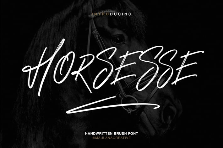 Horsesse Brush Font