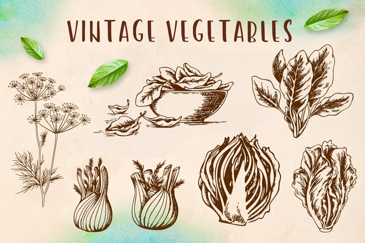 Set of Vintage Vegetables