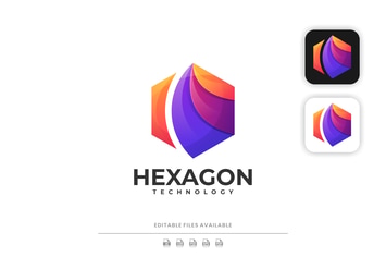 Hexagon Gradient Colorful Logo