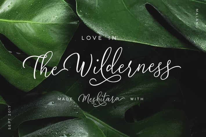 Meshitara