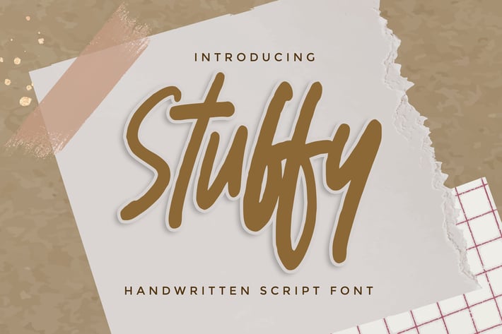 Stuffy - Handwritten Script Font