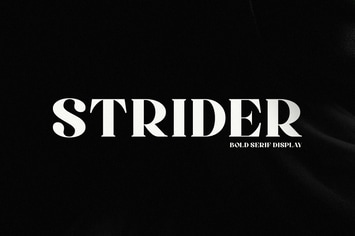 Strider - Bold Serif Display