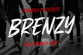 Brenzy - Wild Brush Font