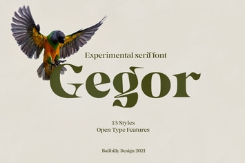 Gegor | Serif Experimental Display Typeface