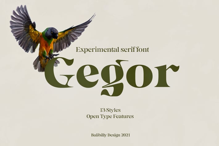 Gegor | Serif Experimental Display Typeface