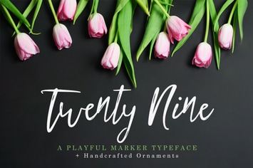 Twenty Nine Font