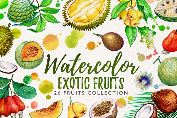 watercolor fruits vol. 5