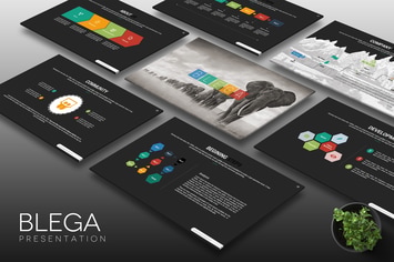 Blega - Keynote Template