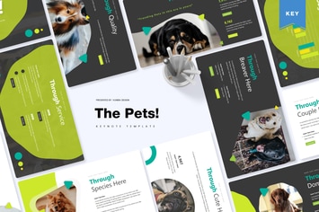 The Pets | Keynote Template
