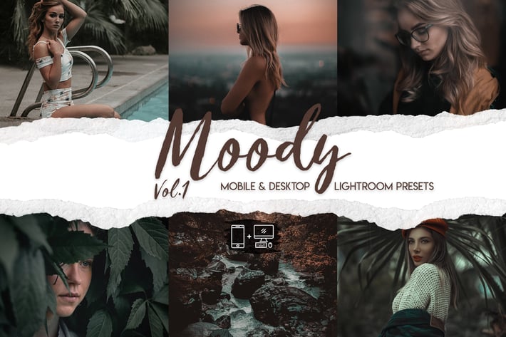 Moody Vol. 1 - 15 Premium Lightroom Presets