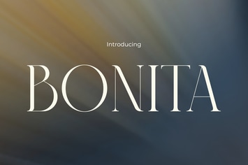 Bonita - Sleek Elegance Modern Font