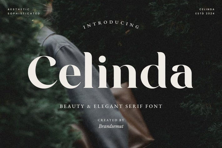 Celinda - Beauty & Elegant Serif Font