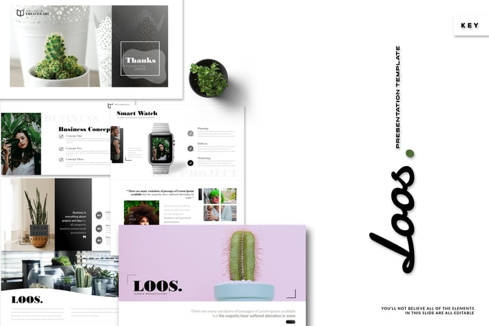 Loos - Keynote Template