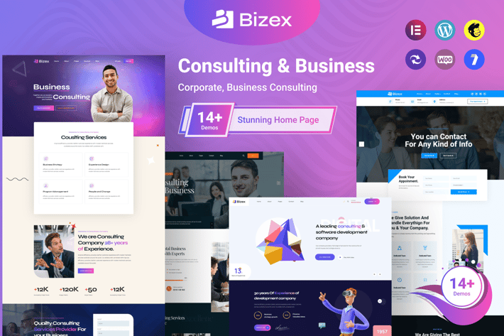 Bizex - Business Consulting WordPress Theme 