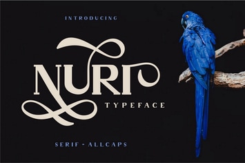 Nuri - Classic Elegant Display Font