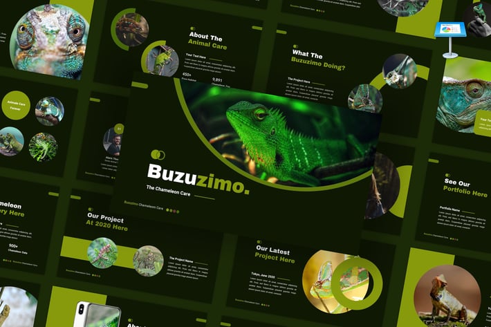 Buzunismo - Animal Care Keynote Template