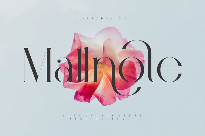 Mallnote Elegant Ligature Serif Typeface