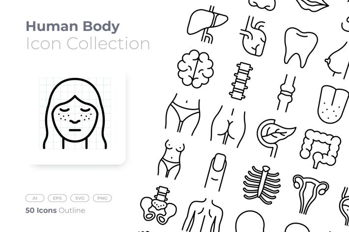Human Body Outline Icon