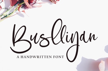 Busllyan