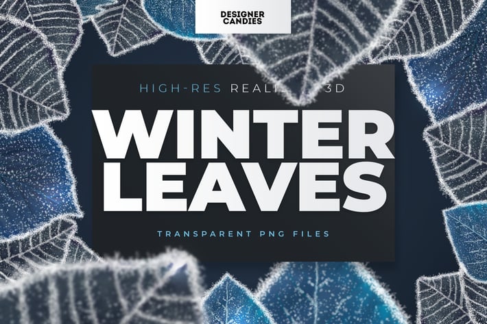 Winter Leaves / Leaf Overlays