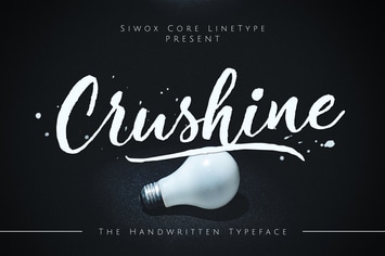 Crushine Wet Brush + Webfonts