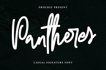 Pantheres Casual Signature Font