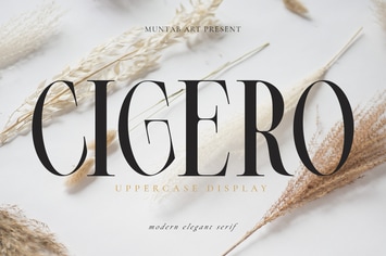 Cigero | Modern Serif