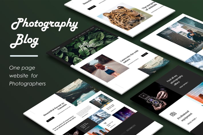Travel Photography Blog Landing Page Website PSD