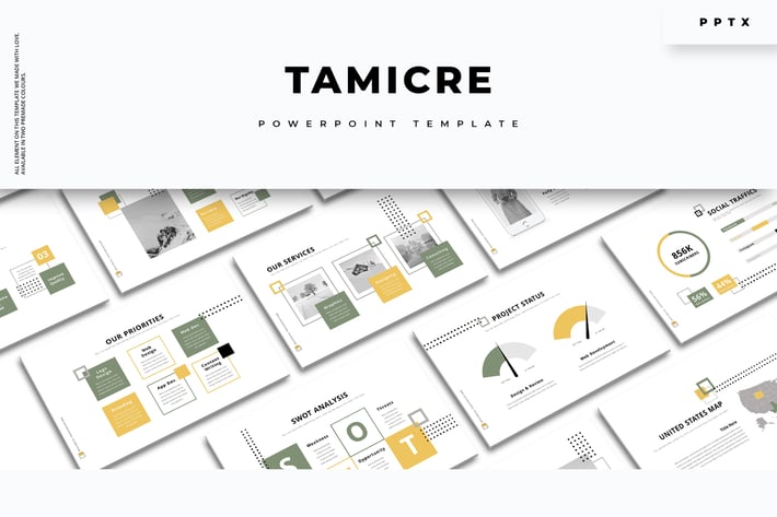 Tamicre - Creative PowerPoint Template