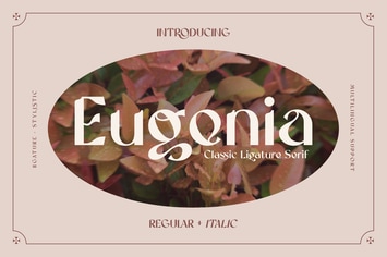 Vintage Sans Serif Font