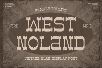 West Noland - Vintage Slab Font