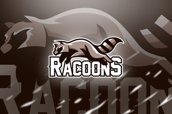 racoons - Mascot & Esport Logo