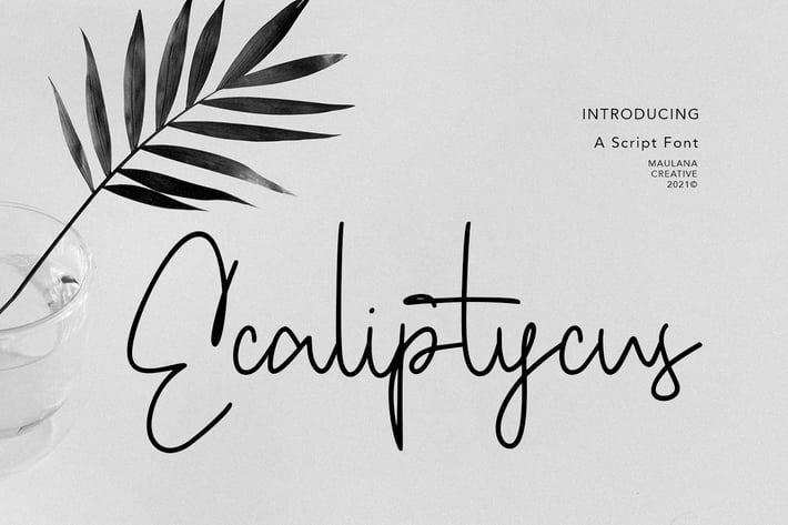 Ecaliptycus Script Font