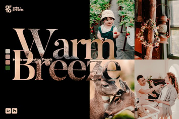 ARTA - Warm Breeze Presets for Lightroom
