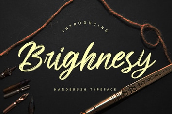 Brighnesy Hand Brush Business Font