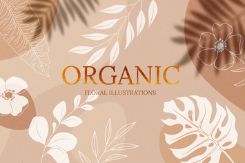 Organic Floral Illustrations