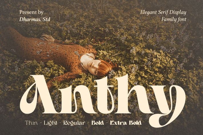 Anthy - Decorative Modern Serif
