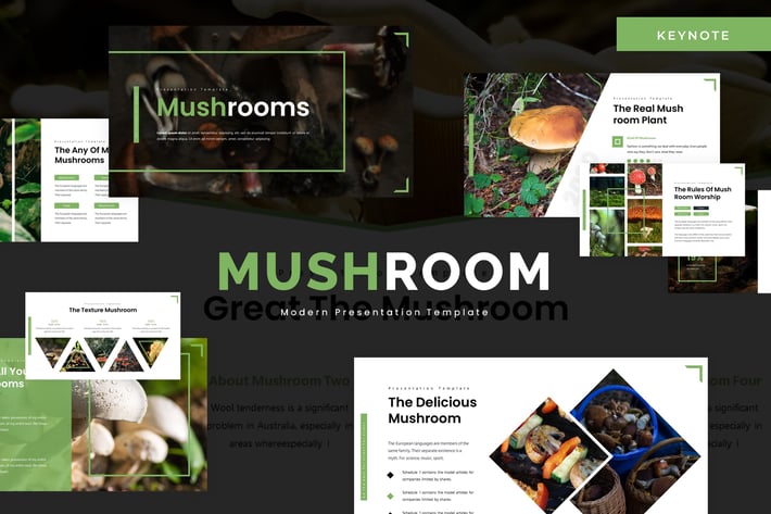 Mushroom - Keynote Template