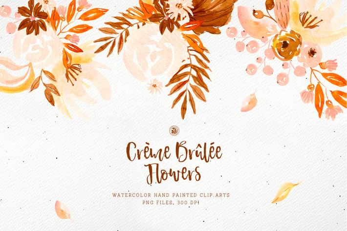 Creme Brûlée Flowers