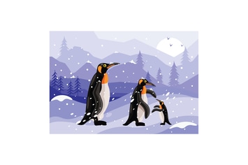 Penguins Winter Graphics Illustration