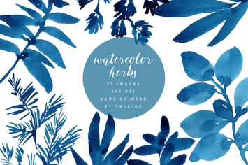 Watercolor herbs, indigo ink