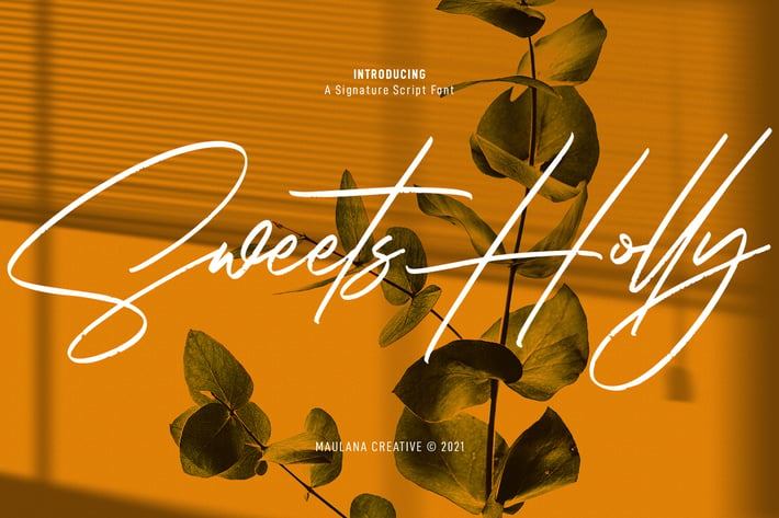 Sweets Holly Signature Script Font